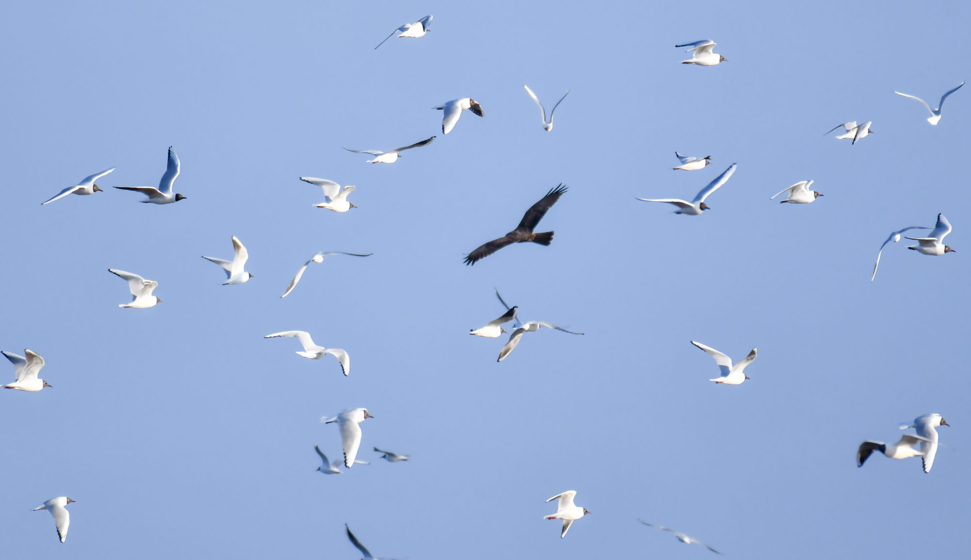 Valokuvaaja: Matti Manninen