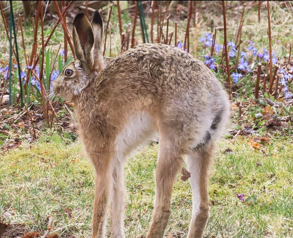Valokuvaaja: Milla Riihimäki