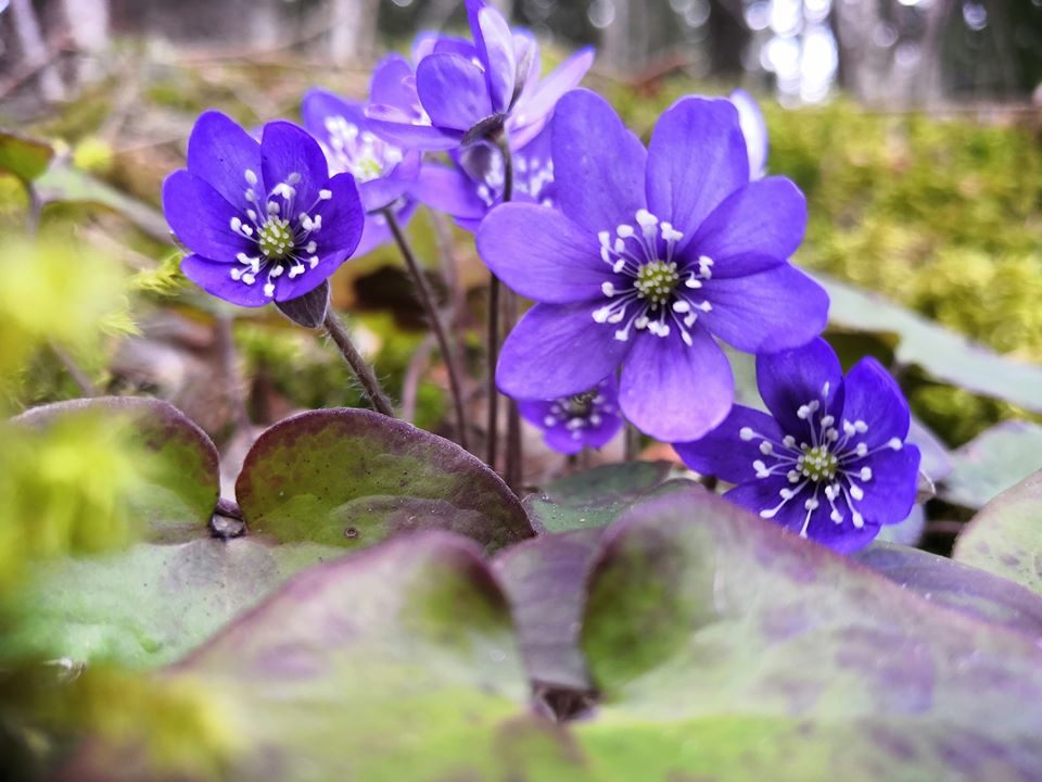 Valokuvaaja: Mari Ahtola