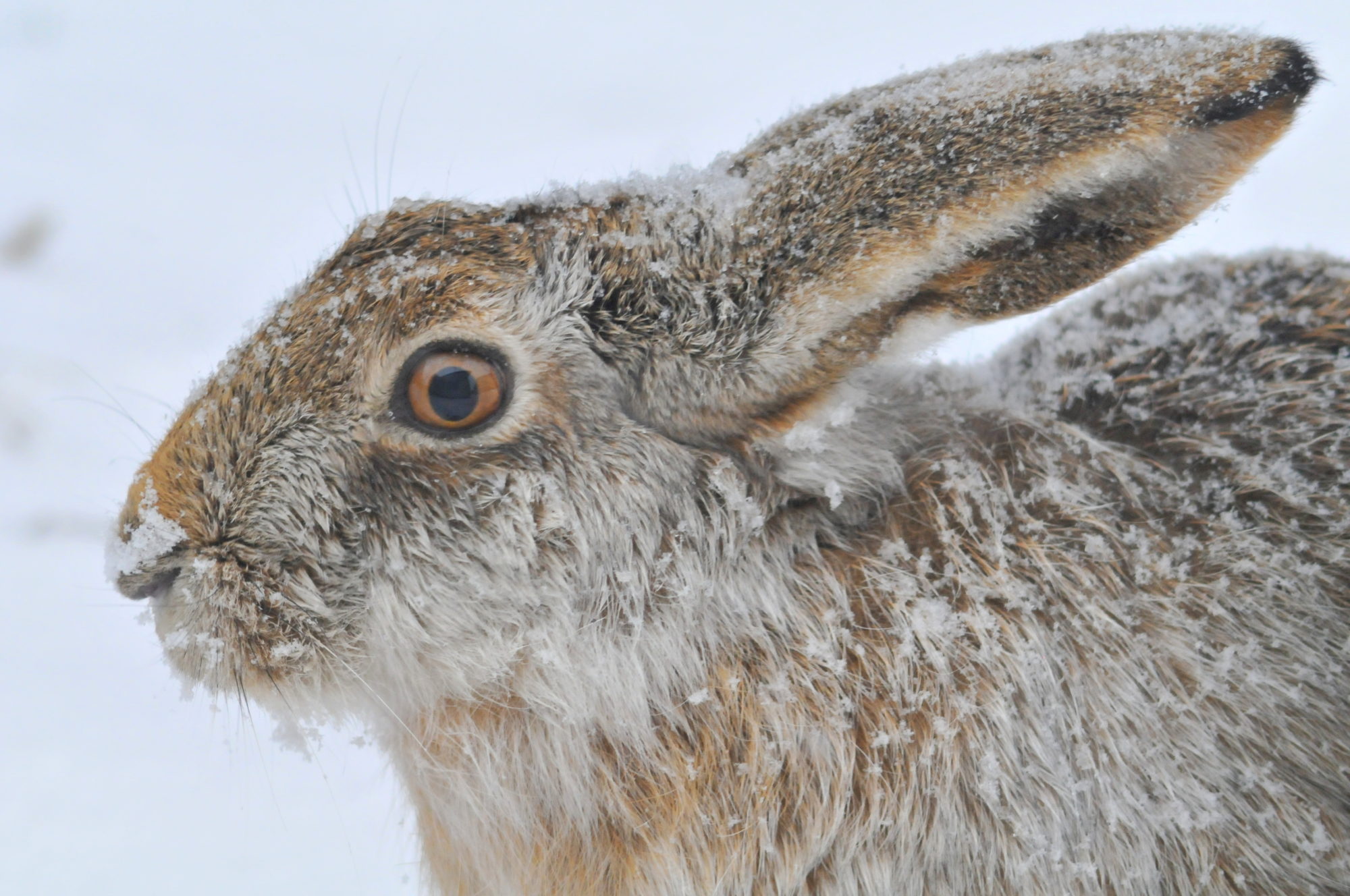 Valokuvaaja: Kaarlo Asikainen Valokuvaaja: Kaarlo Asikainen