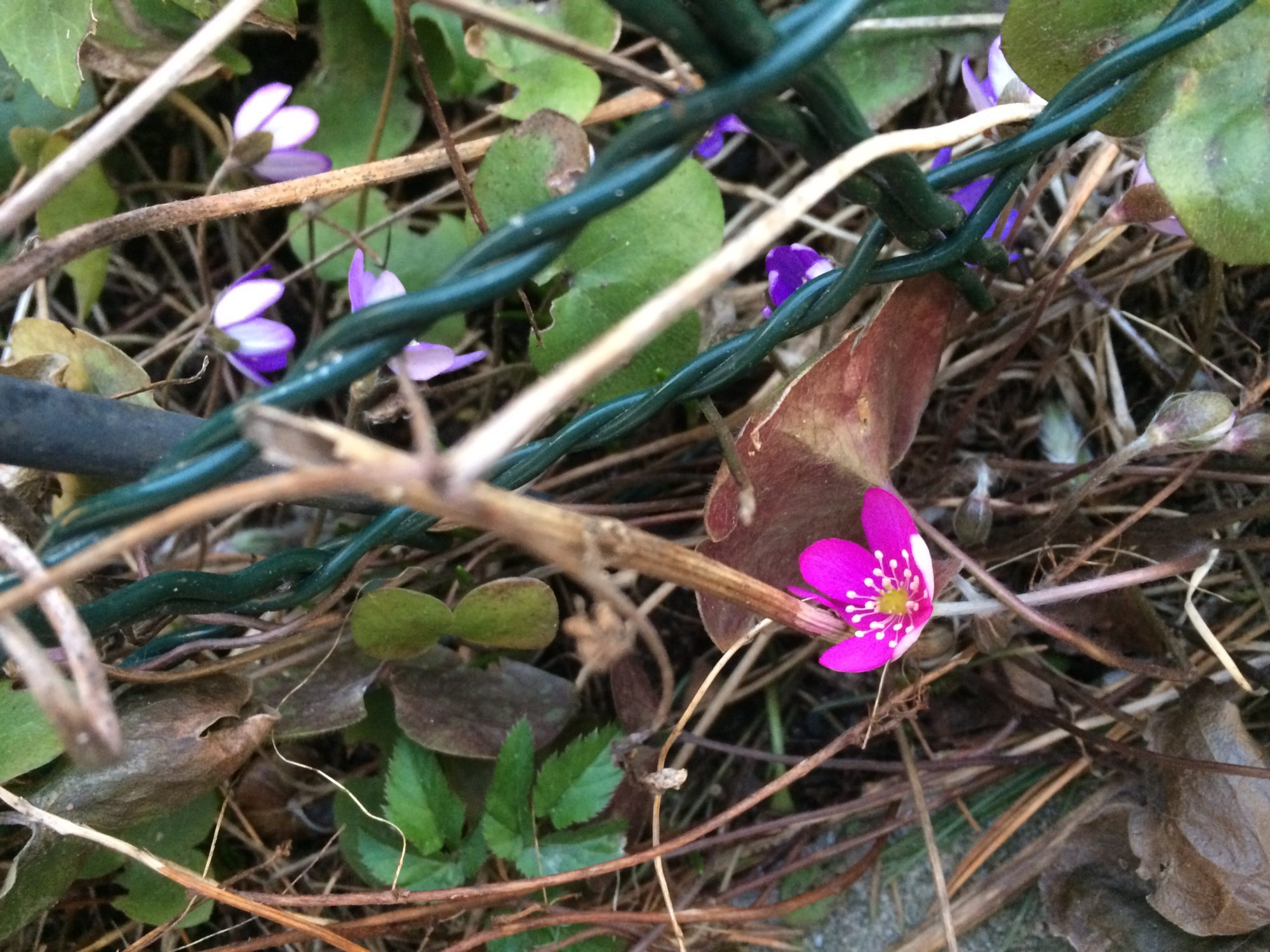 Valokuvaaja: Lea Tanskanen