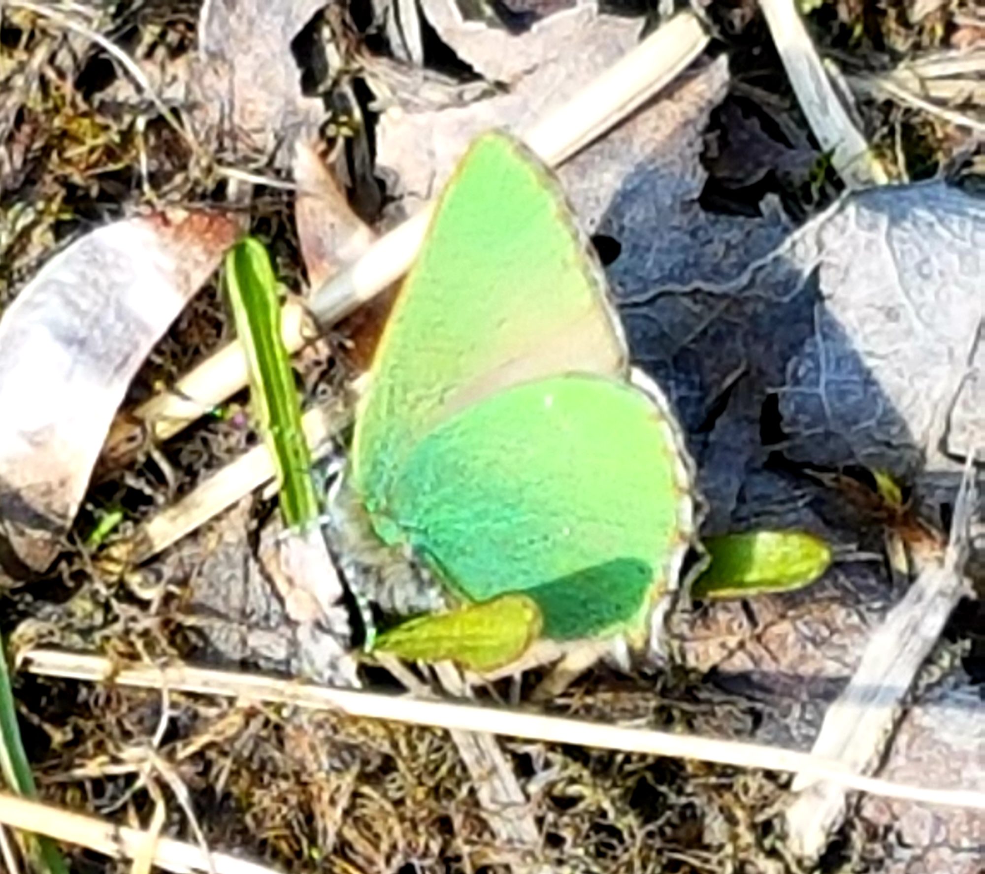 Valokuvaaja: Tiina Heiska