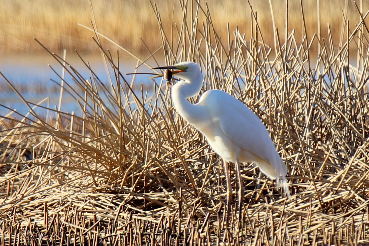 Valokuvaaja: sirpa jyske