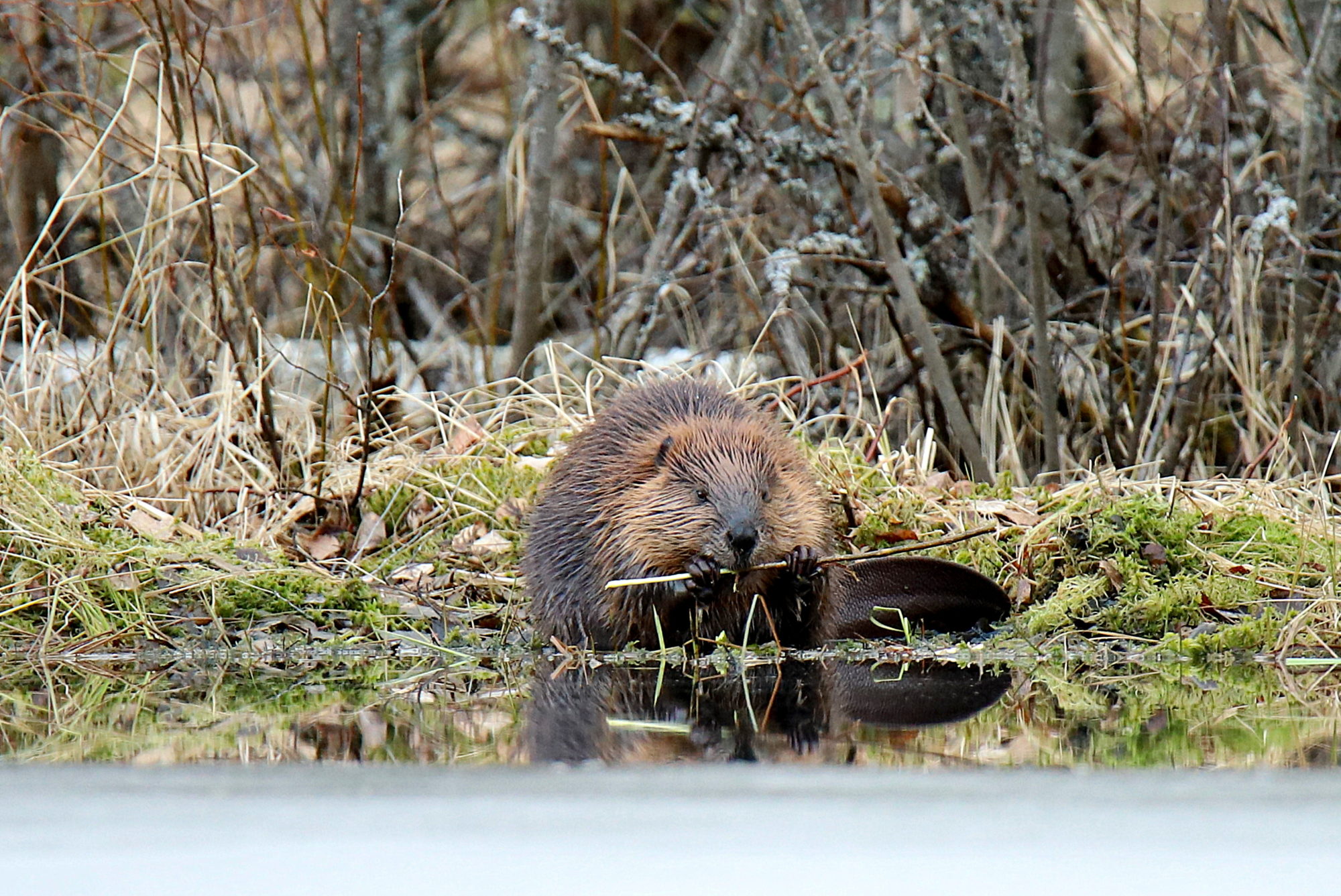 Valokuvaaja: sirpa jyske
