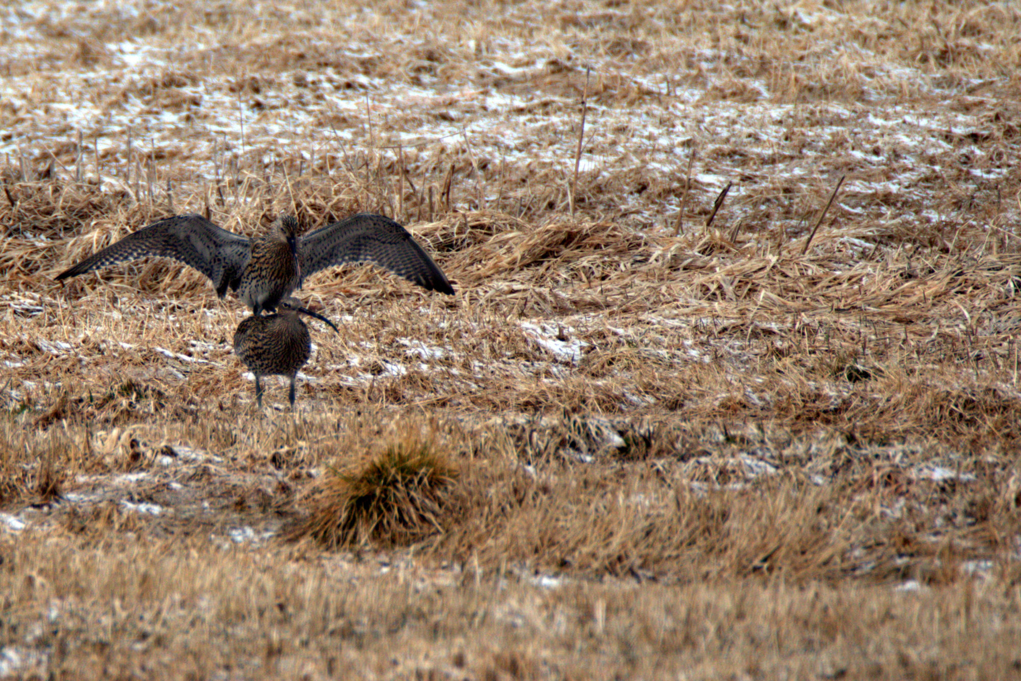 Valokuvaaja: Ahti Keränen