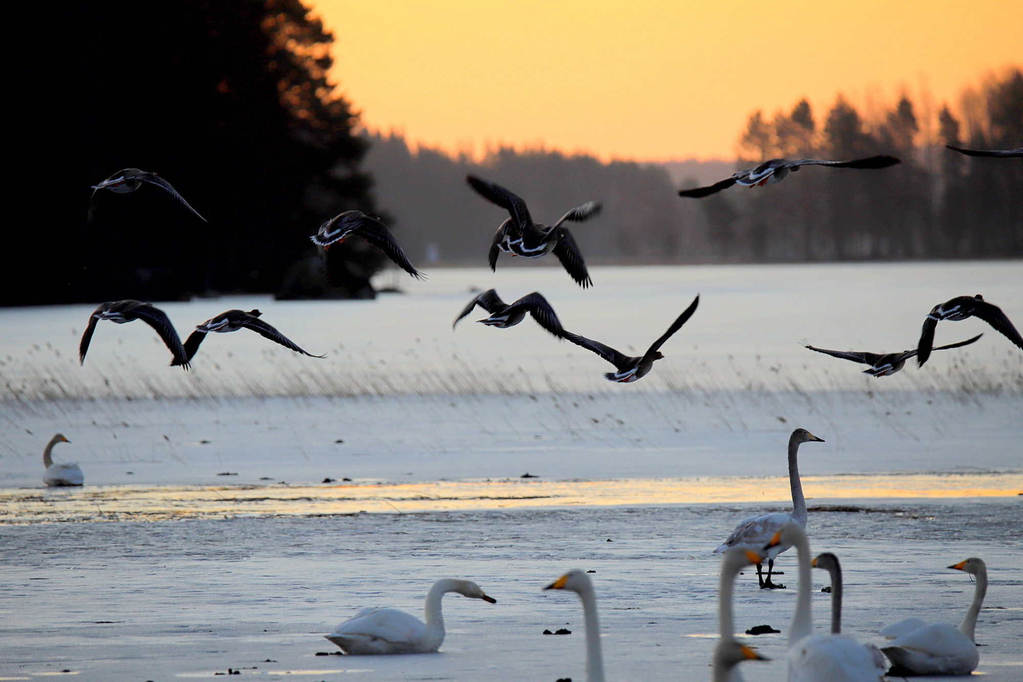 Valokuvaaja: sirpa jyske