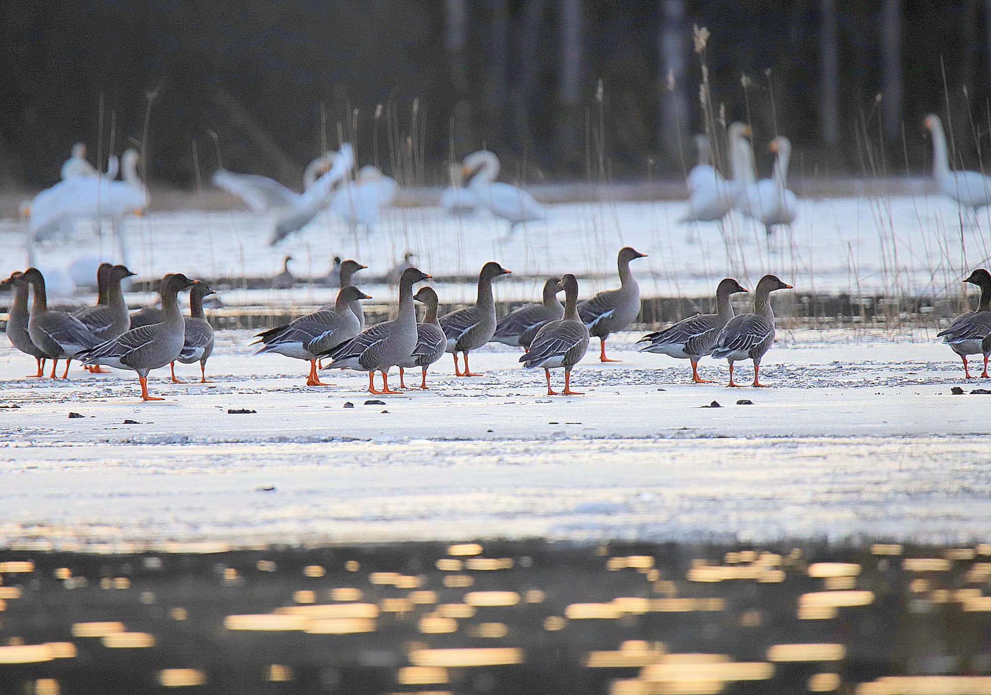 Valokuvaaja: sirpa jyske
