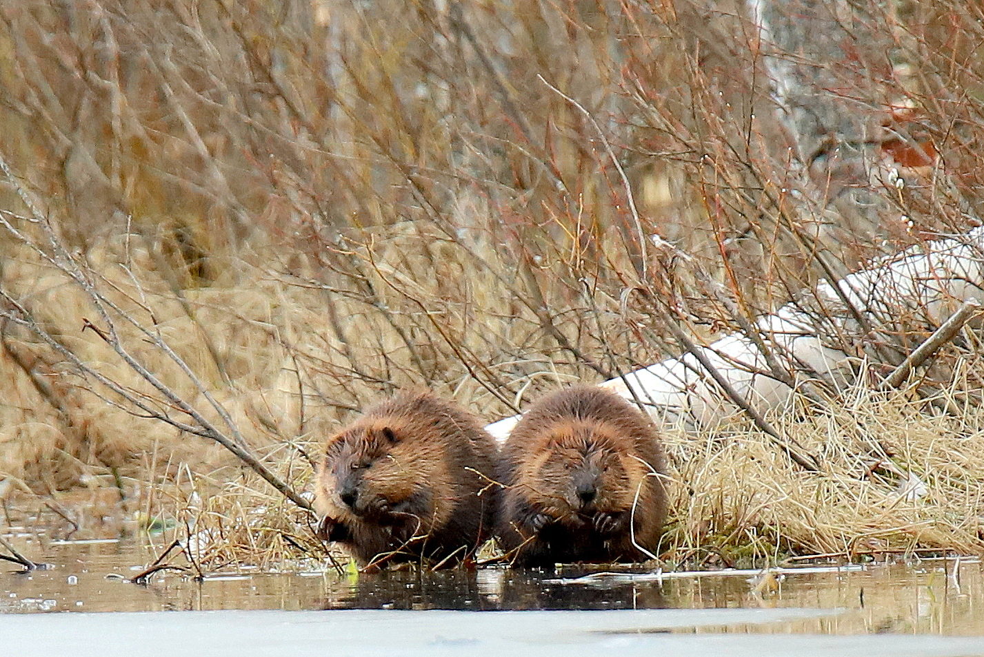 Valokuvaaja: sirpa jyske