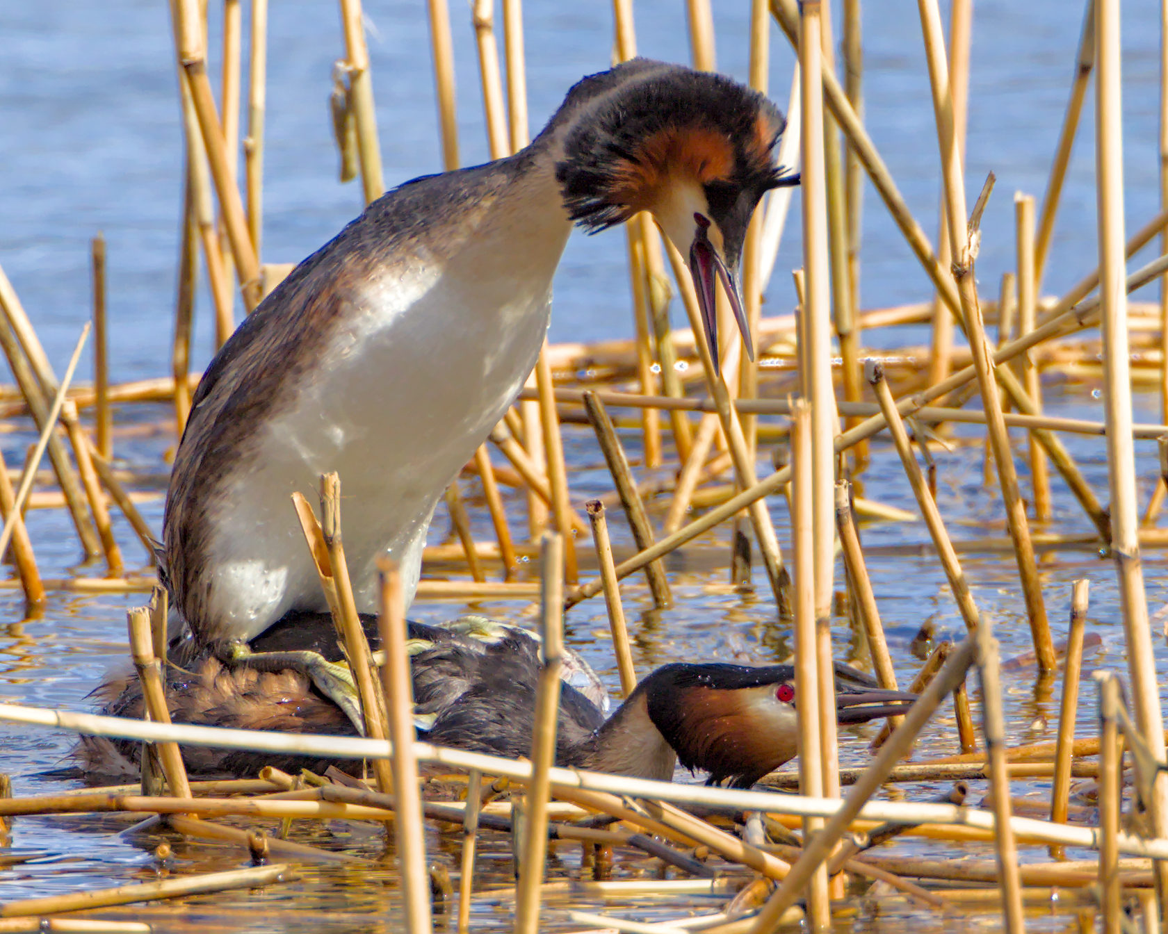 Valokuvaaja: Lauri Ylinen