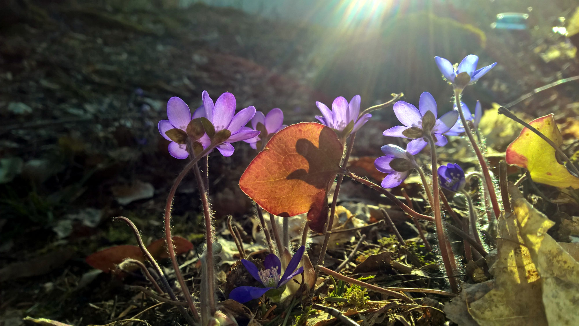Valokuvaaja: Elina Renko Valokuvaaja: Elina Renko