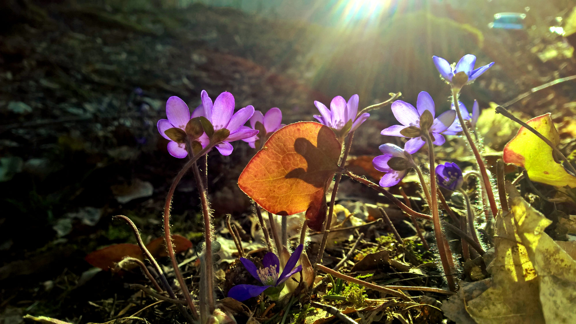 Valokuvaaja: Elina Renko Valokuvaaja: Elina Renko