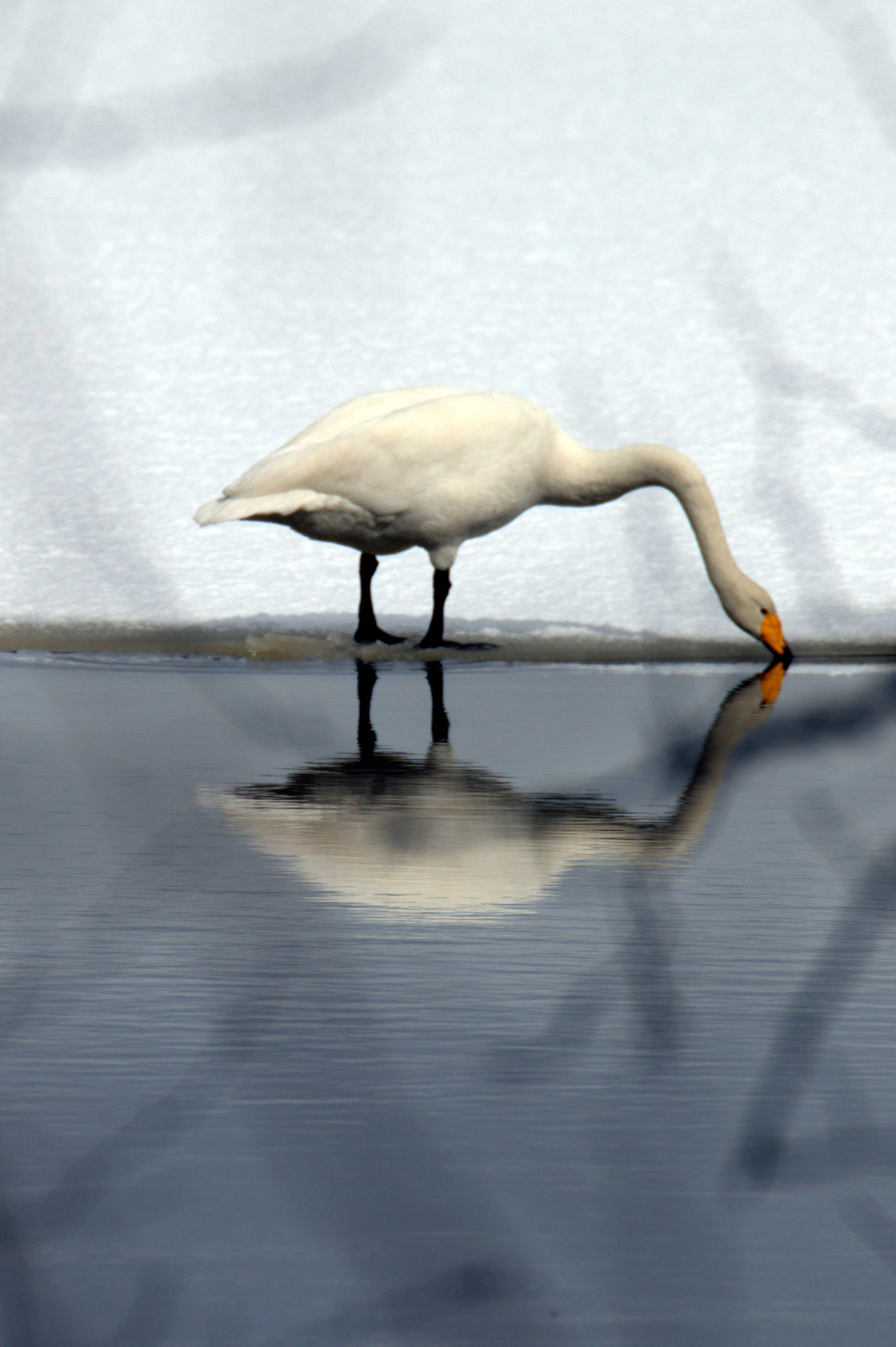 Valokuvaaja: Ahti Keränen