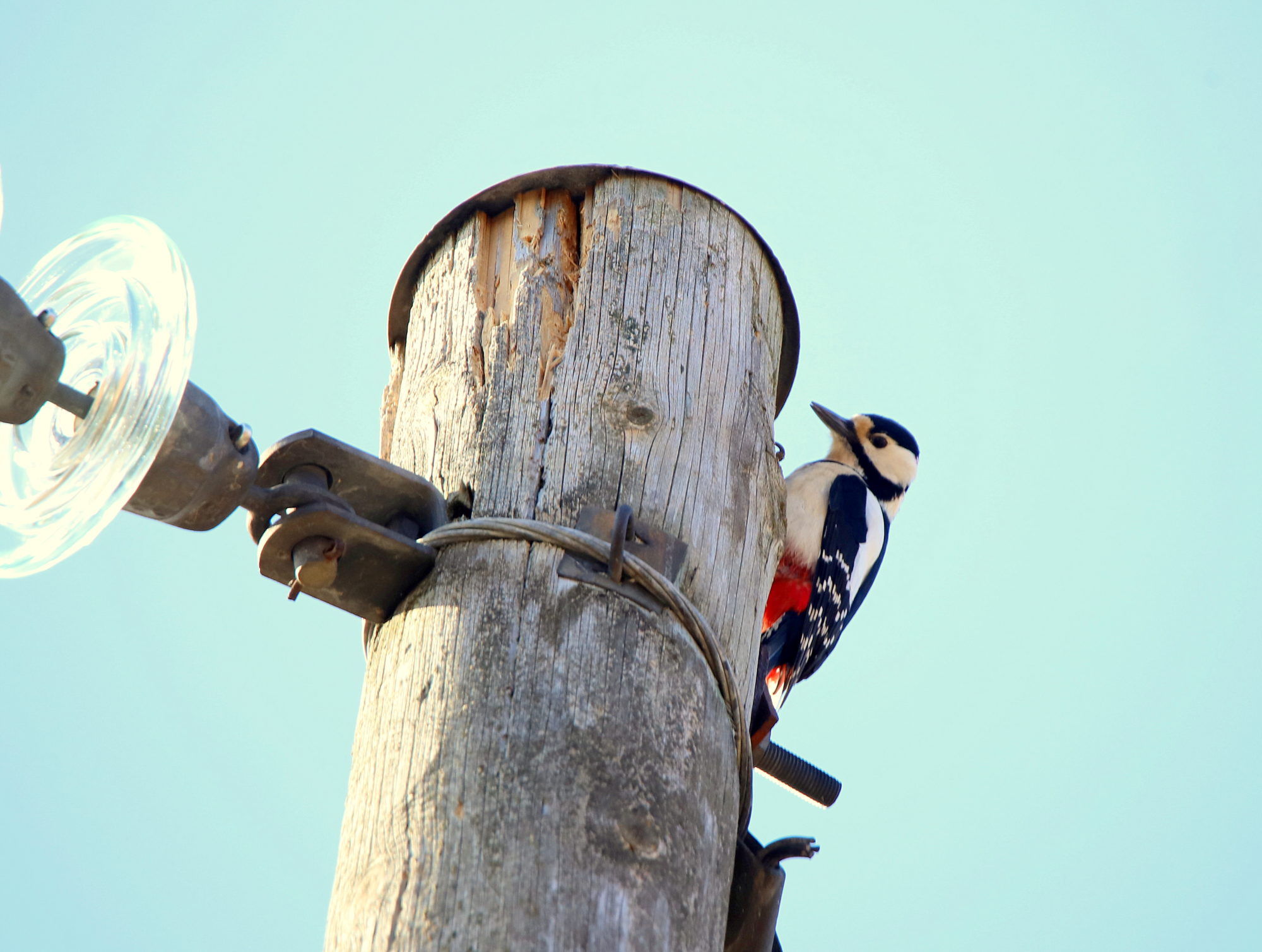 Valokuvaaja: sirpa jyske