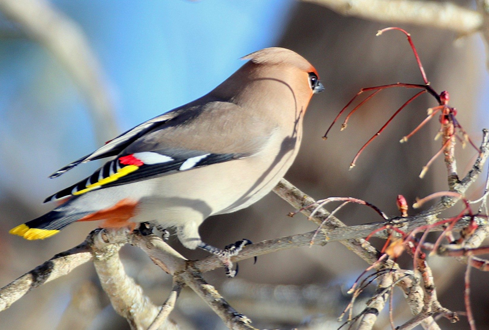 Valokuvaaja: sirpa jyske Valokuvaaja: sirpa jyske