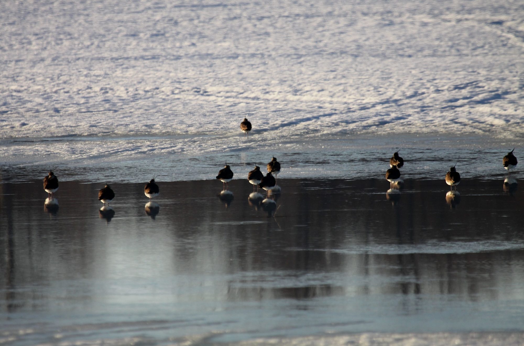 Valokuvaaja: Pirkko Siukonen