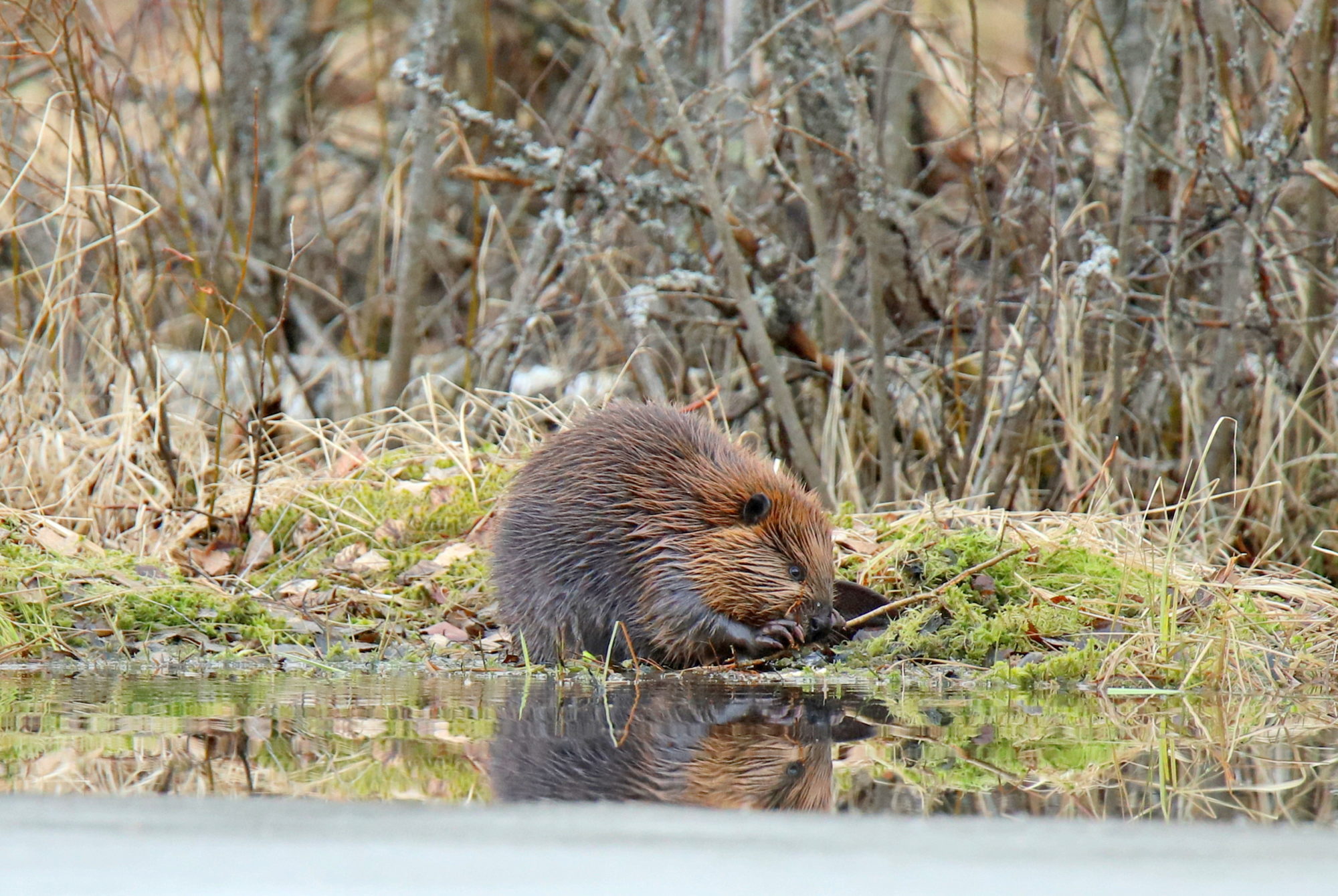 Valokuvaaja: sirpa jyske