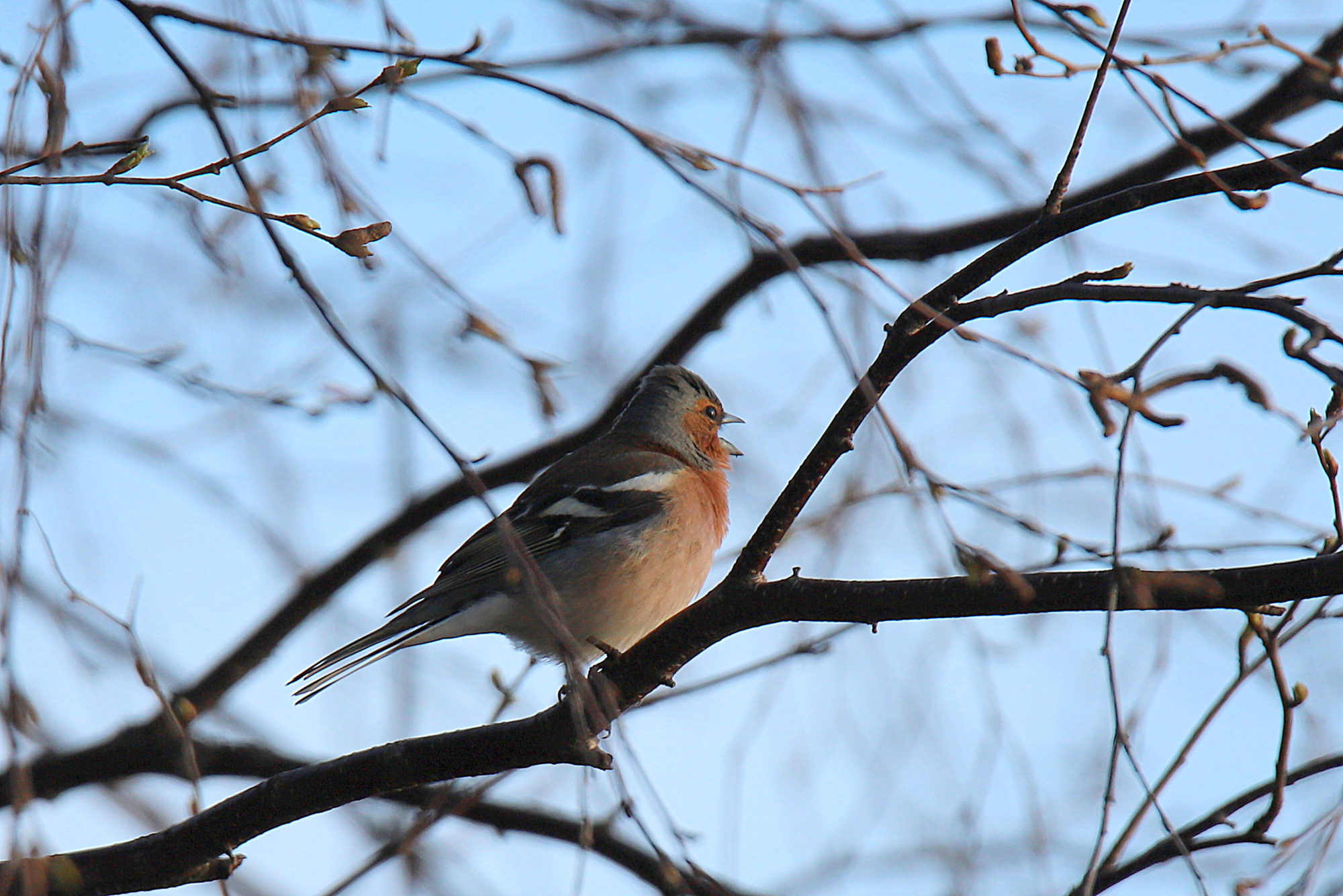 Valokuvaaja: sirpa jyske