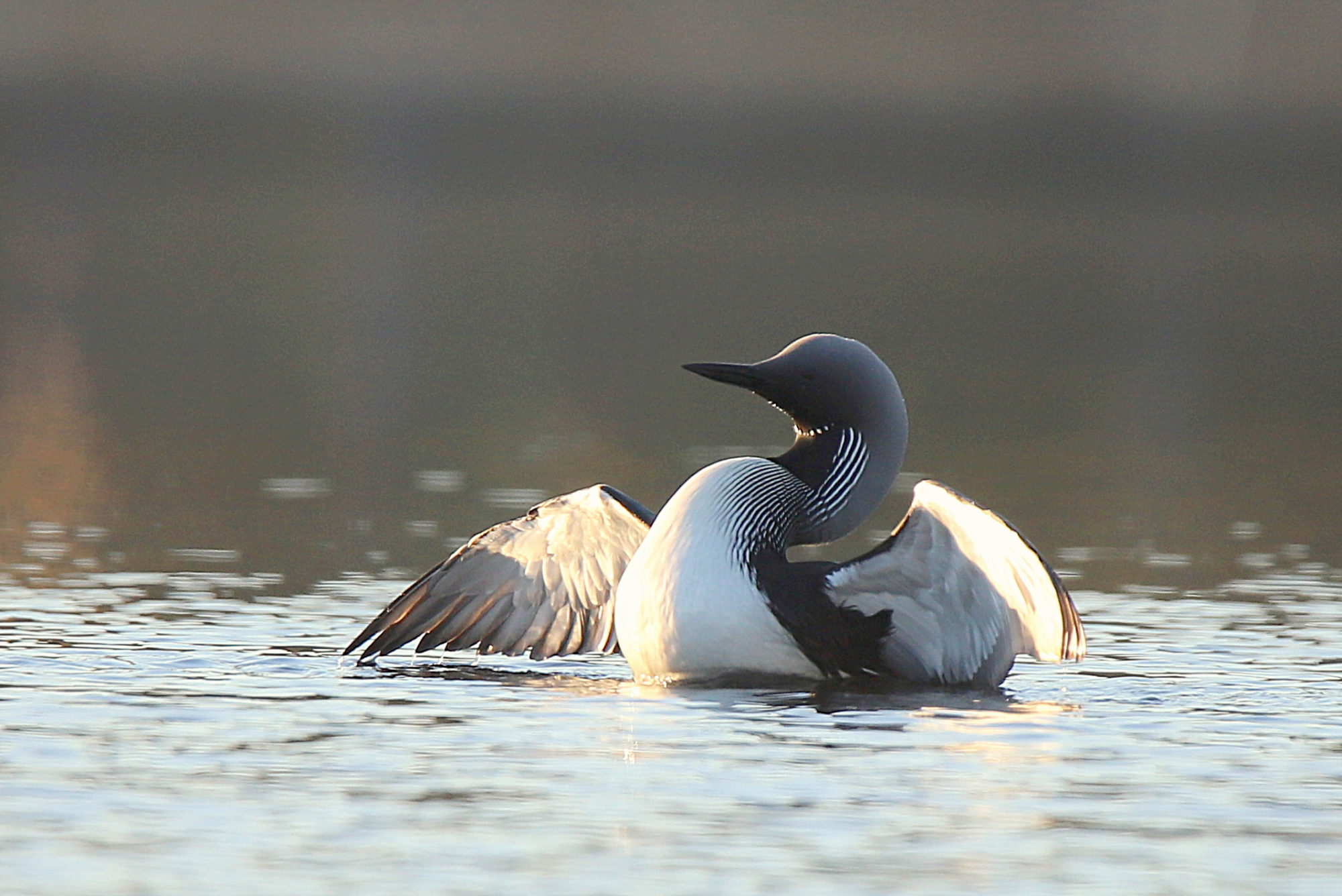 Valokuvaaja: sirpa jyske