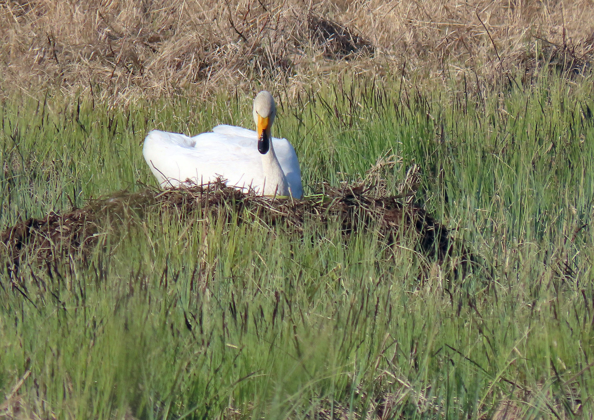 Valokuvaaja: Vaittinen Jukka