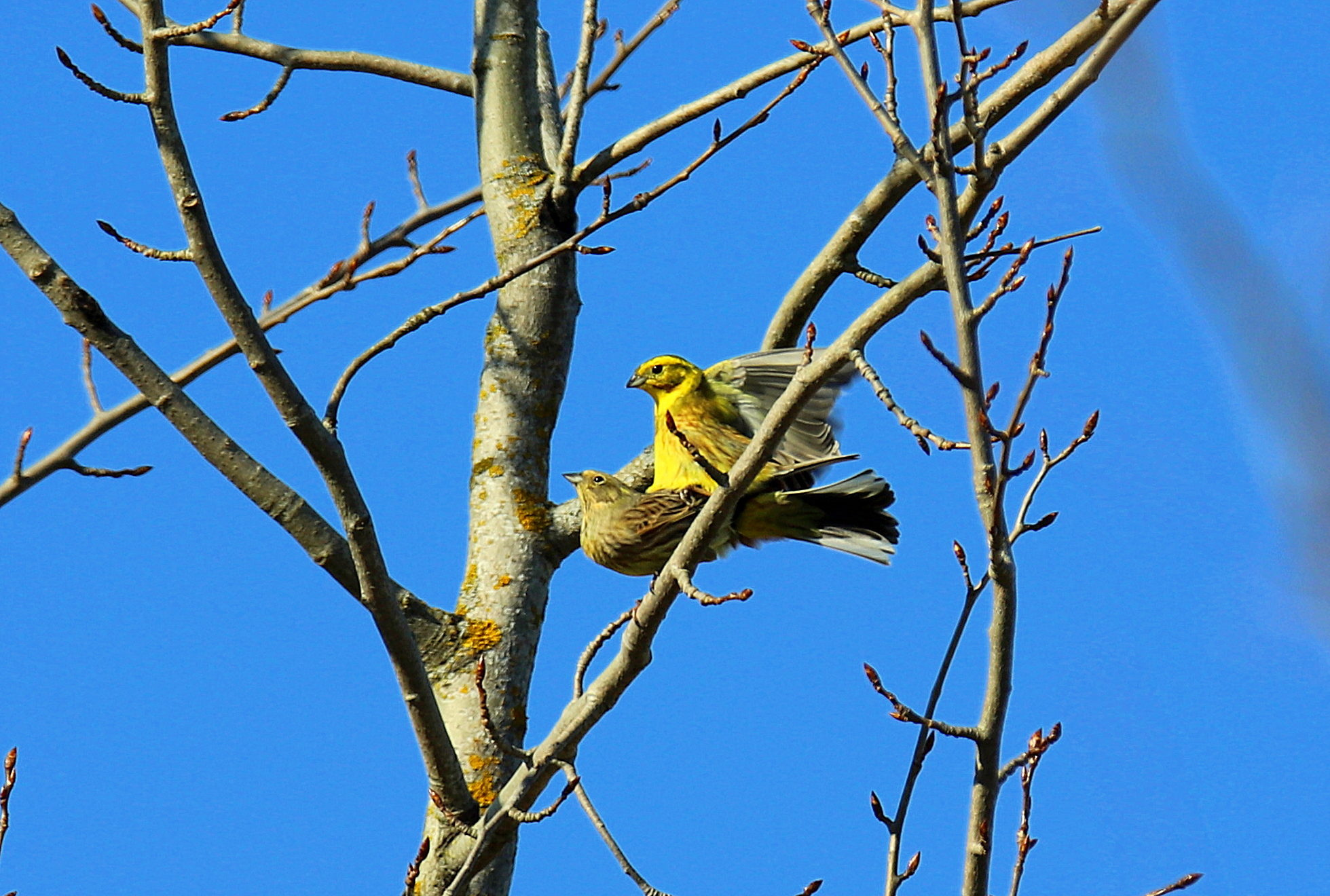 Valokuvaaja: sirpa jyske