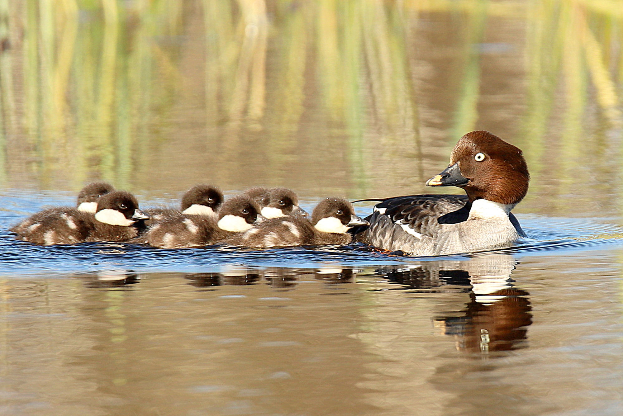 Valokuvaaja: sirpa Jyske