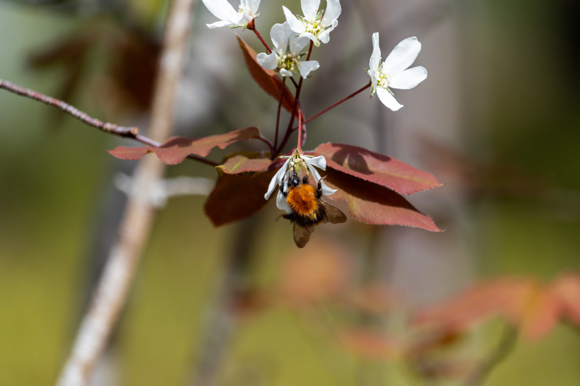 Valokuvaaja: Ida Leino