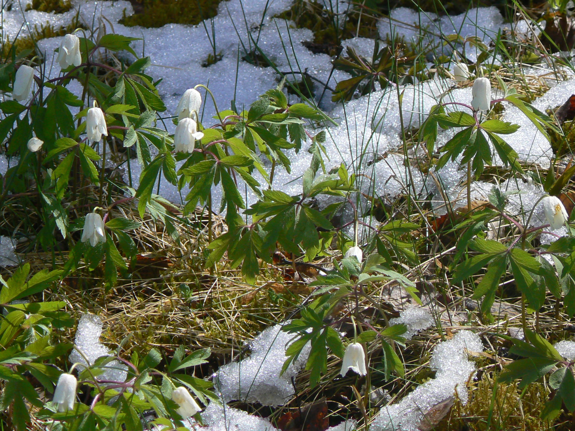 Valokuvaaja: Pekka Heino