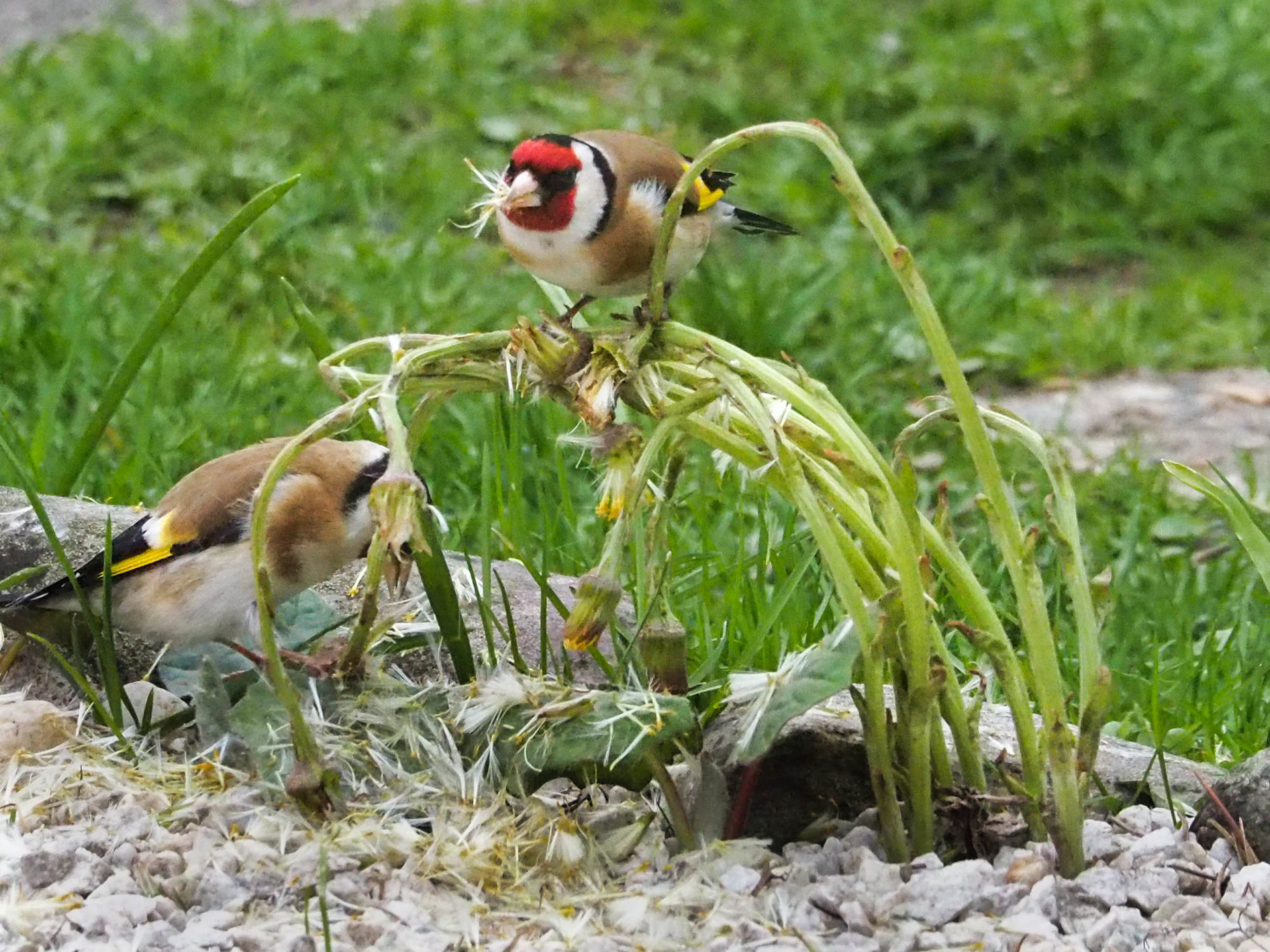 Valokuvaaja: Aki Jalava