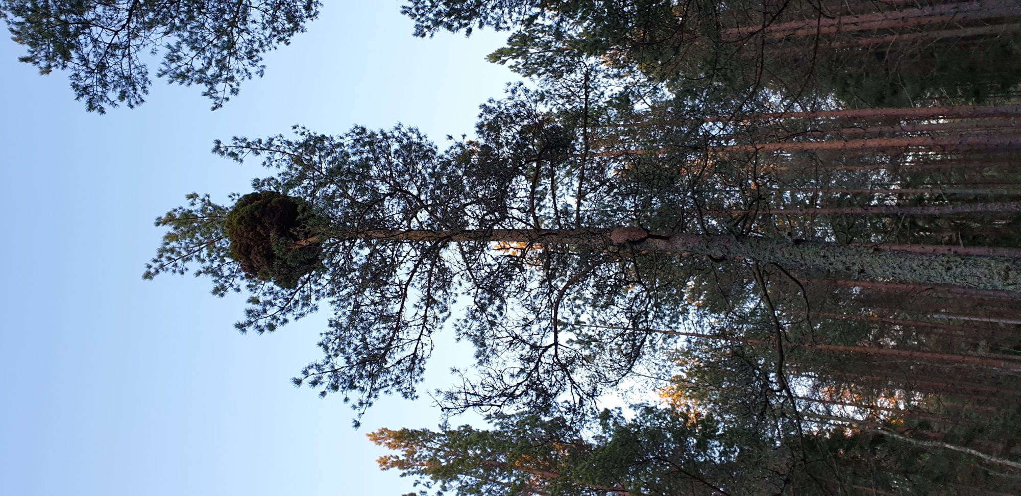 Valokuvaaja: Anna Raivio