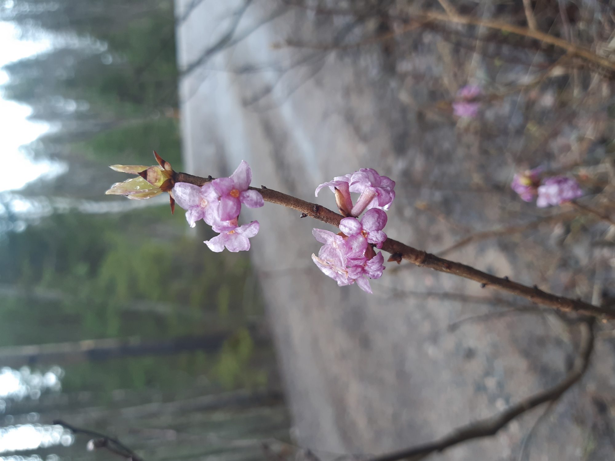 Valokuvaaja: Marianna Jämsä