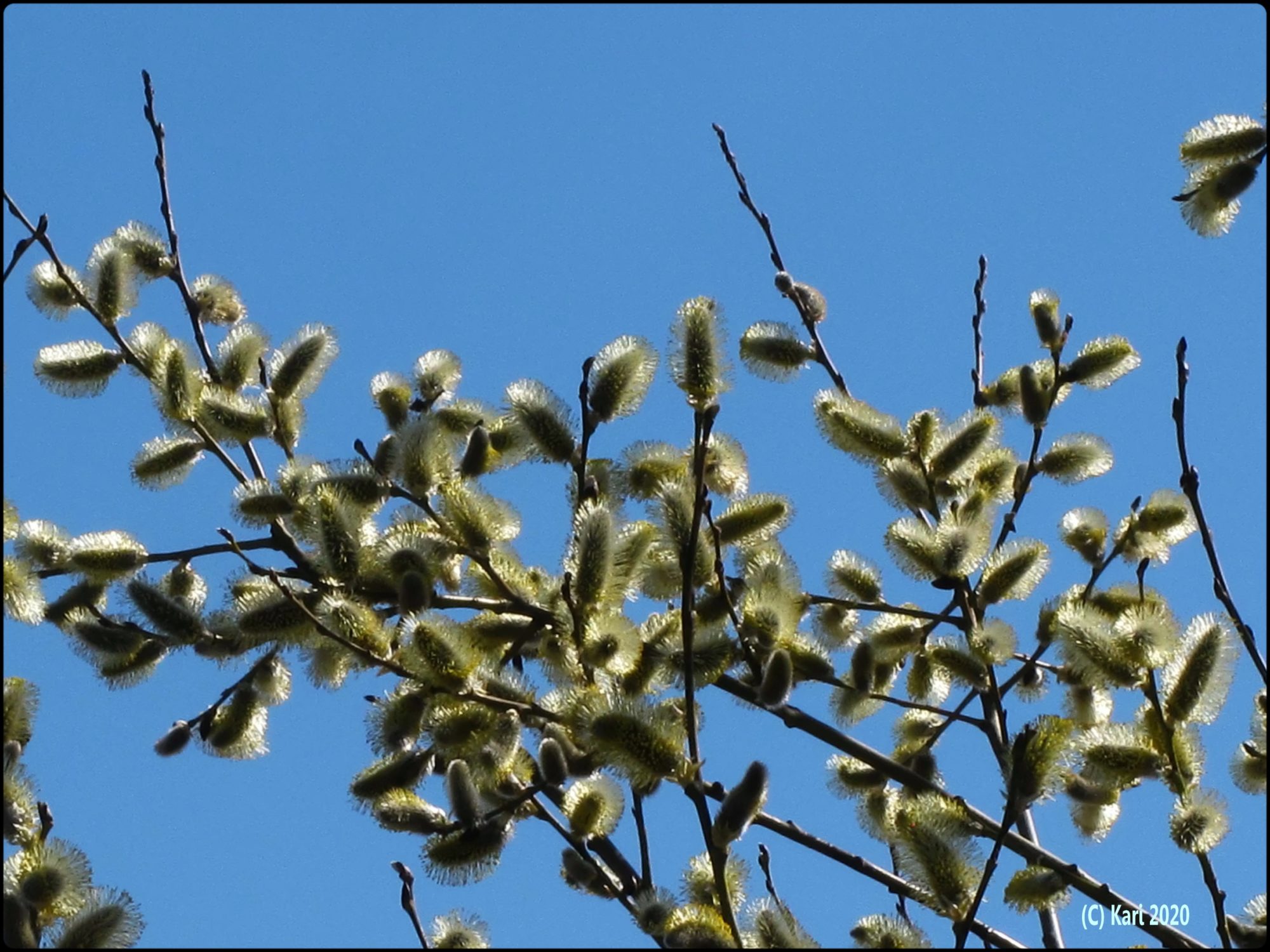 Valokuvaaja: Kari Saarinen Valokuvaaja: Kari Saarinen