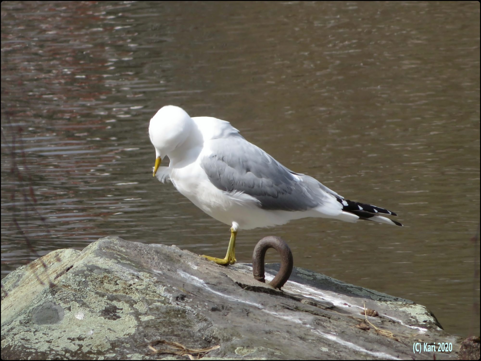 Valokuvaaja: Kari Saarinen