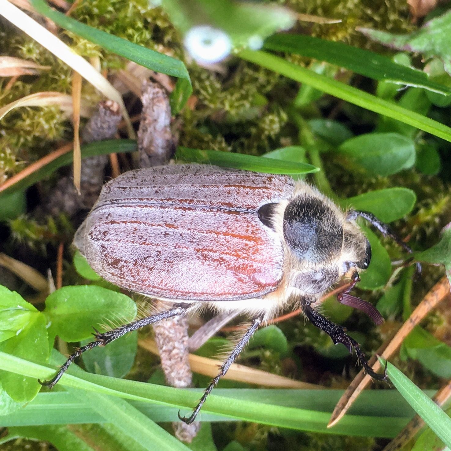 Valokuvaaja: Tiina Thil Valokuvaaja: Tiina Thil