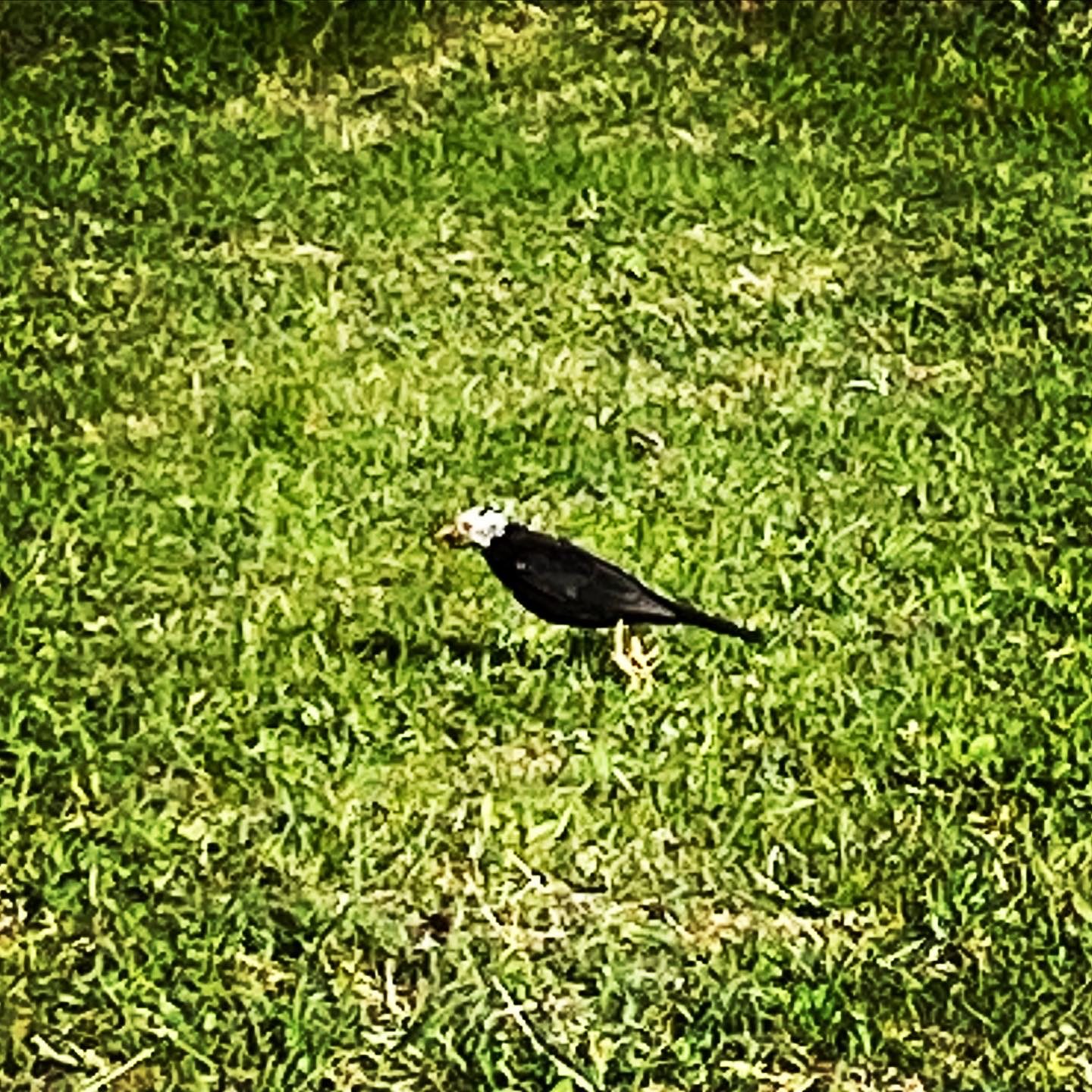 Valokuvaaja: Pirjo Hakkarainen