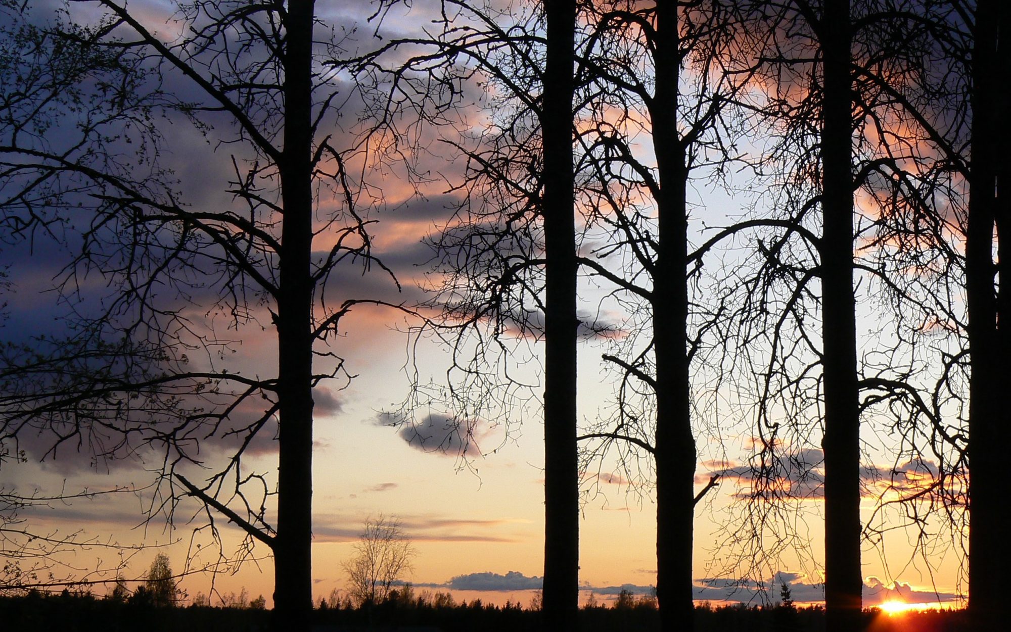 Valokuvaaja: Pekka Heino