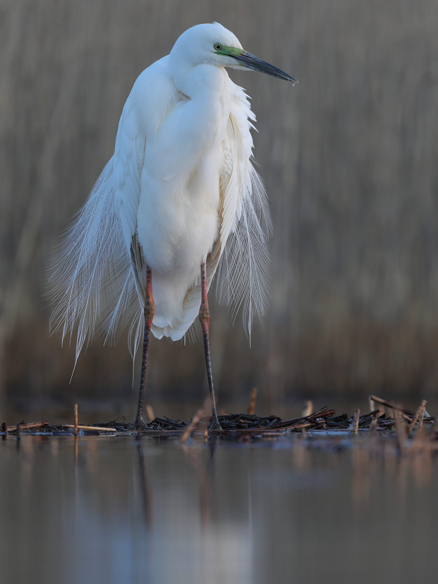 Valokuvaaja: Marko Piiroinen