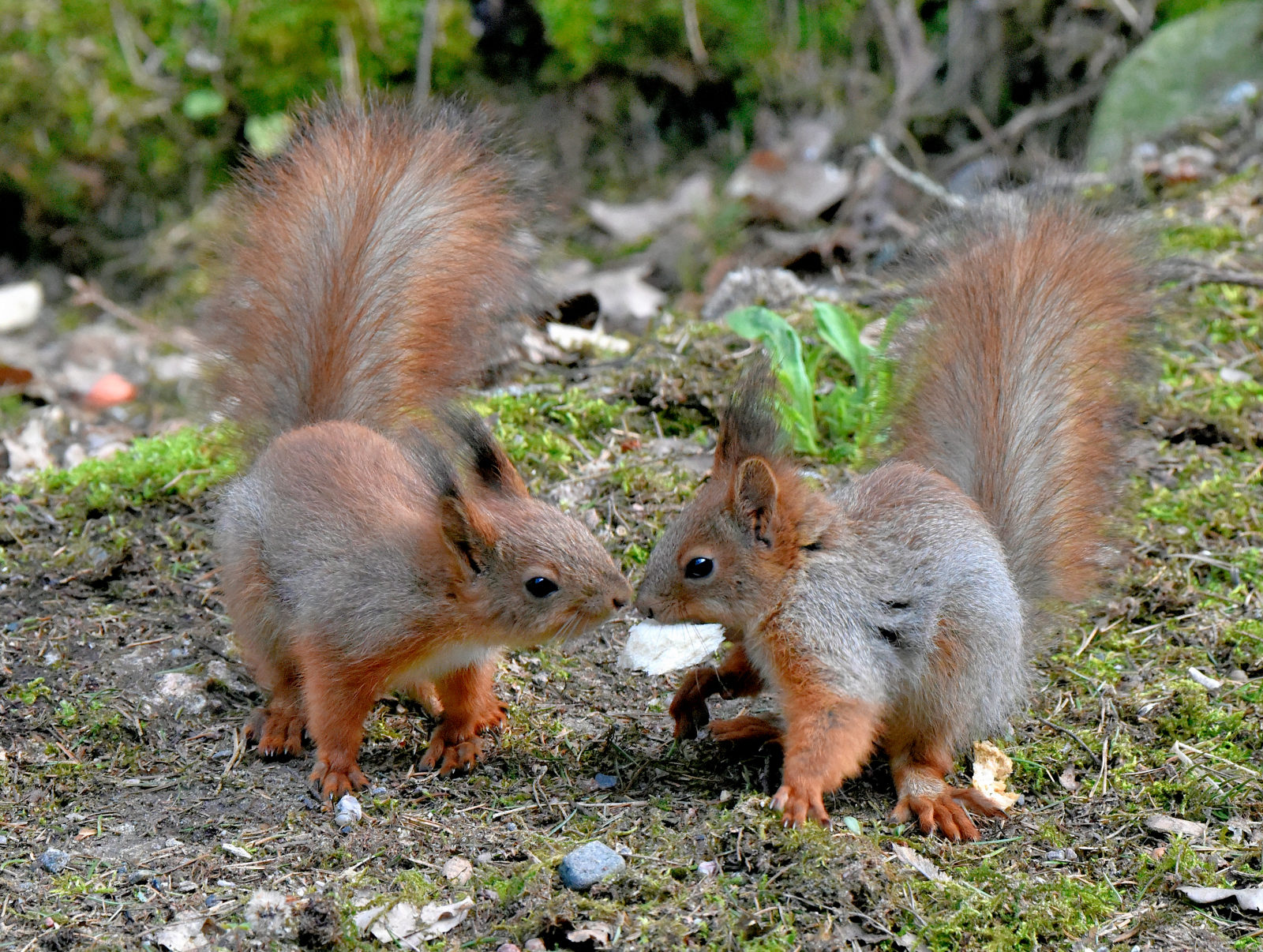 Valokuvaaja: Reijo Juurinen
