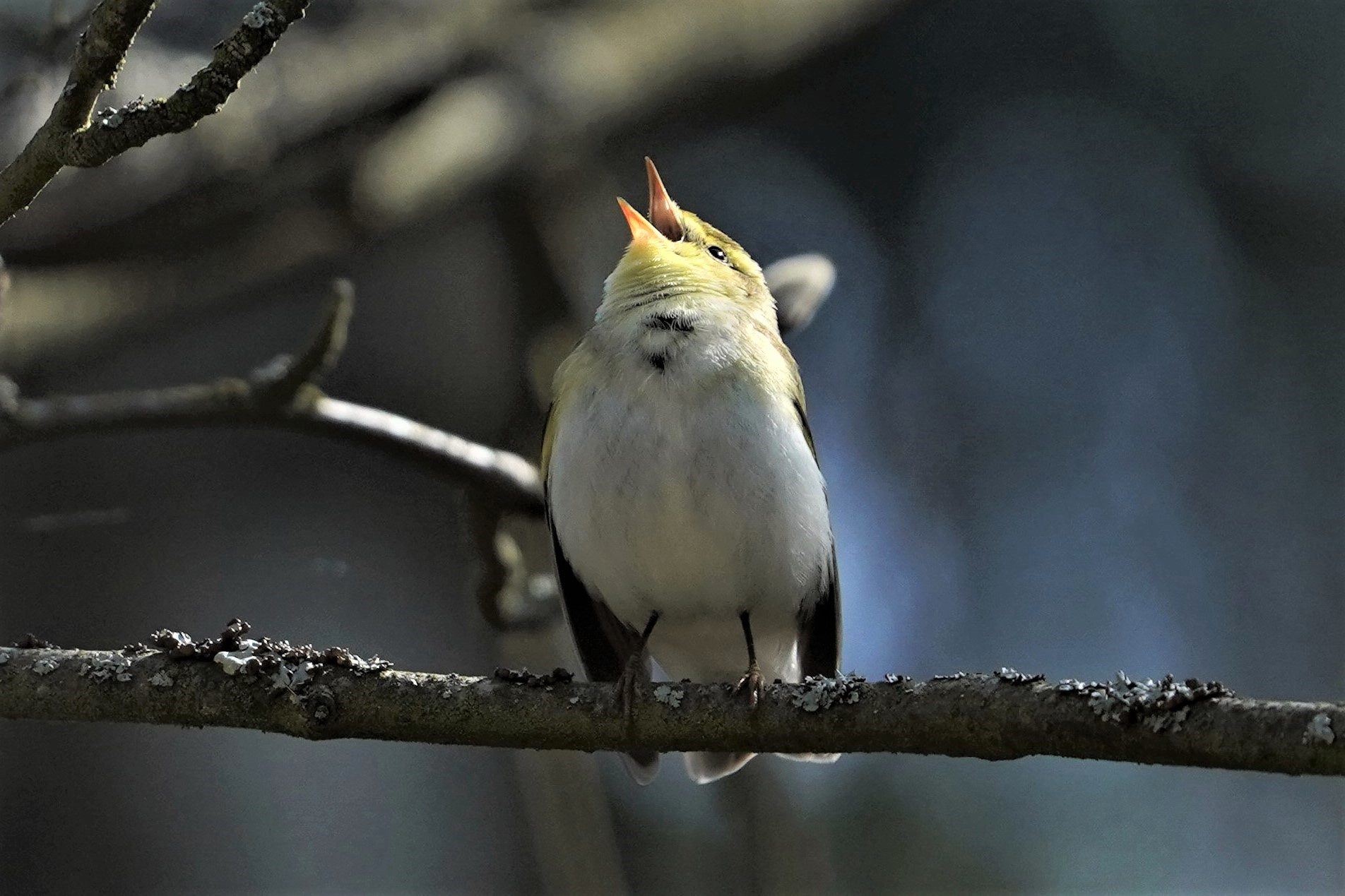 Valokuvaaja: JOUNI TANNER