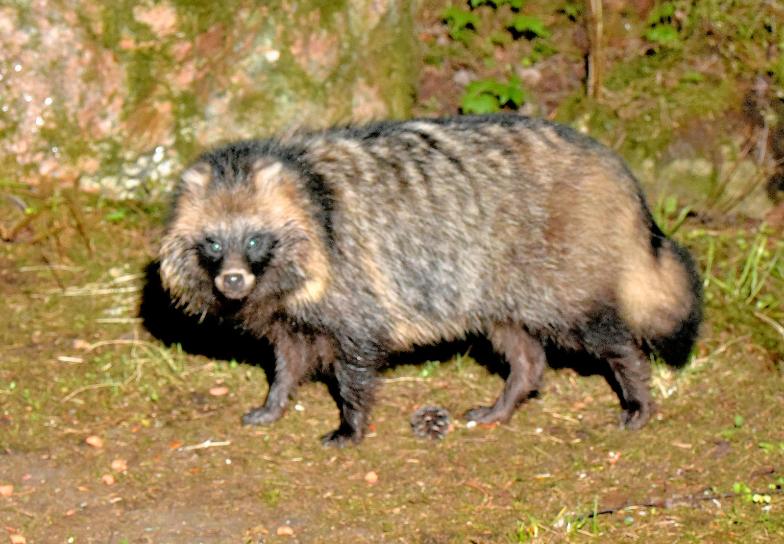 Valokuvaaja: Reijo Juurinen Valokuvaaja: Reijo Juurinen