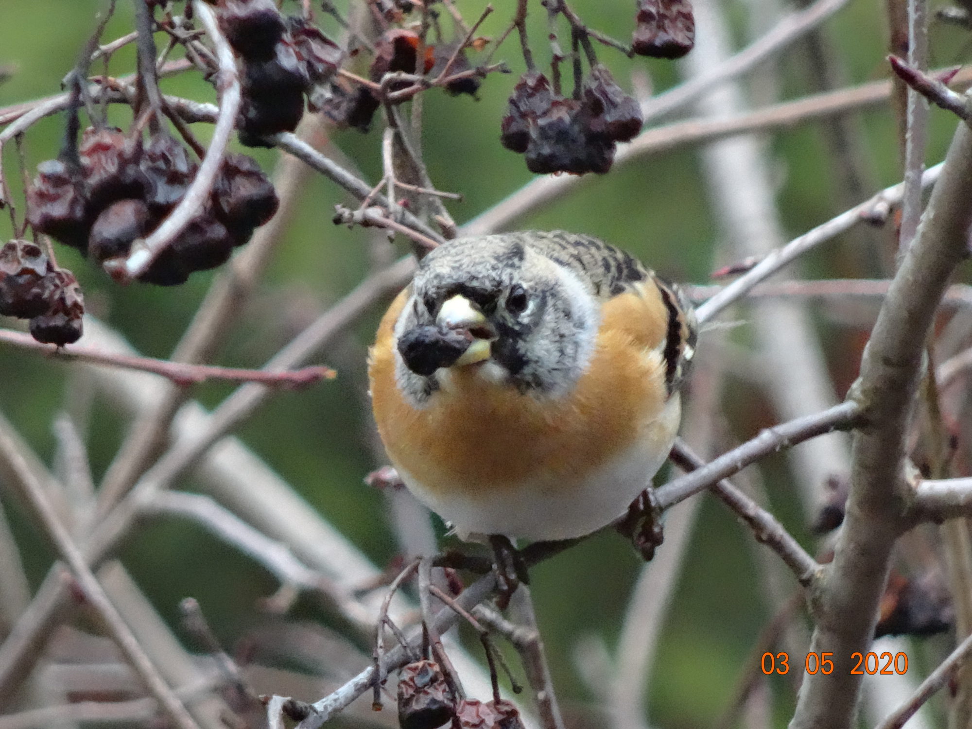 Valokuvaaja: Tellervo Palosaari
