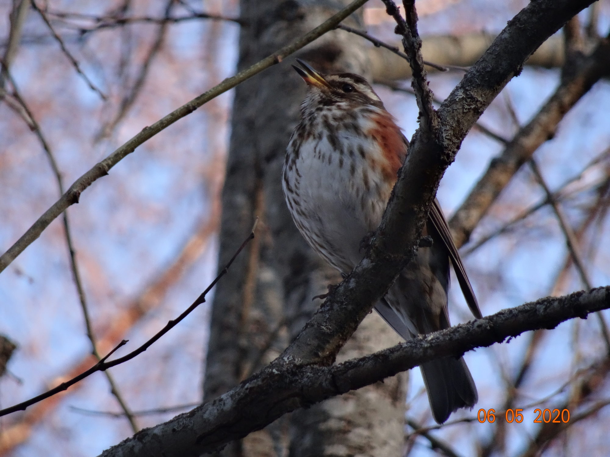 Valokuvaaja: Tellervo Palosaari