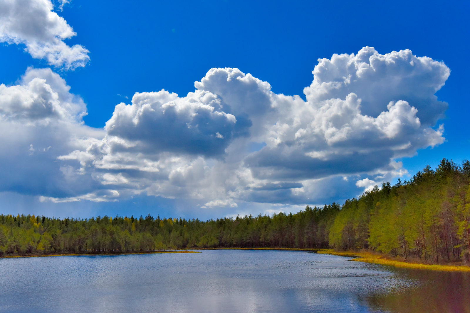 Valokuvaaja: Reijo Juurinen Valokuvaaja: Reijo Juurinen