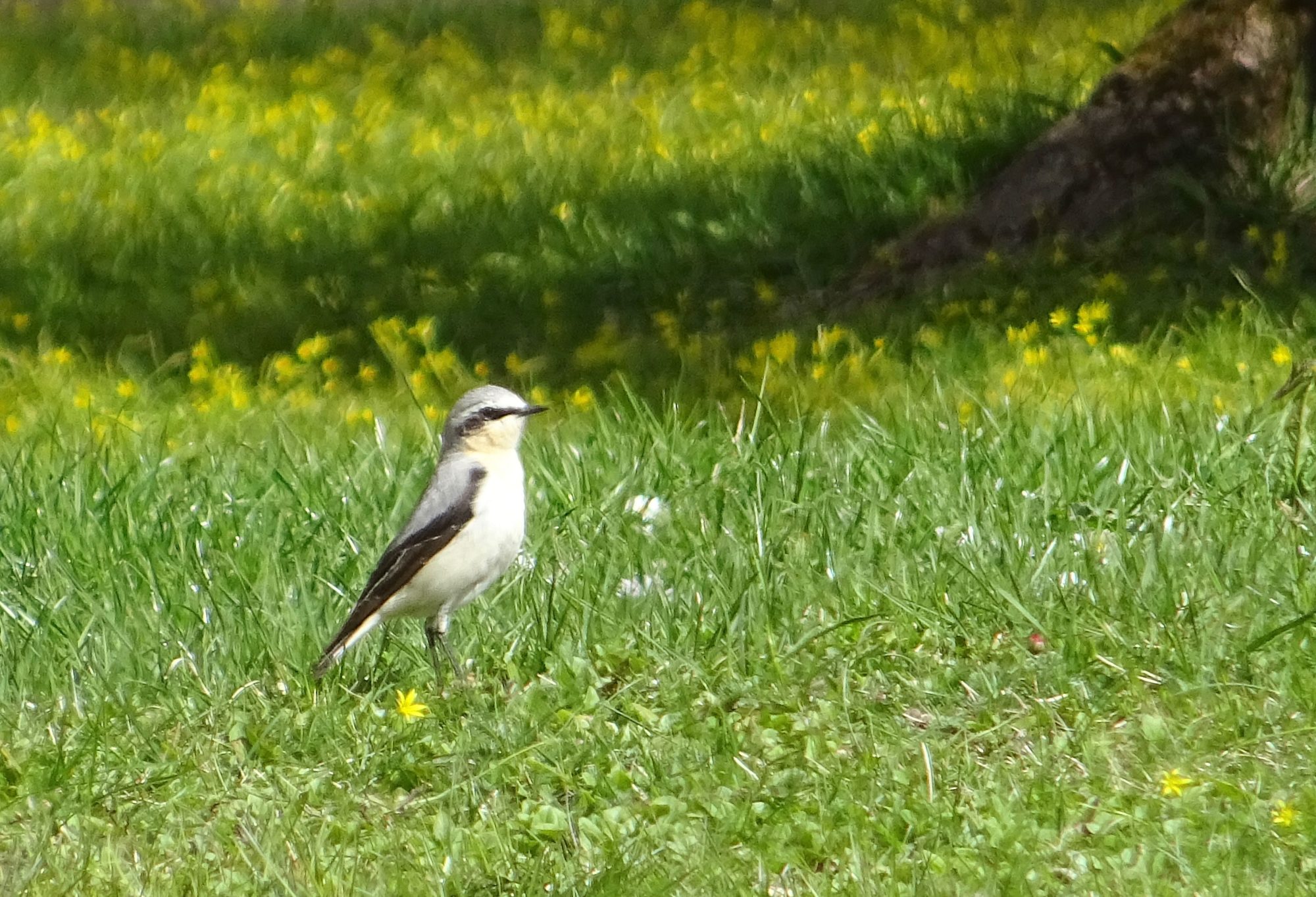 Valokuvaaja: Liisa Niiva-Korpela