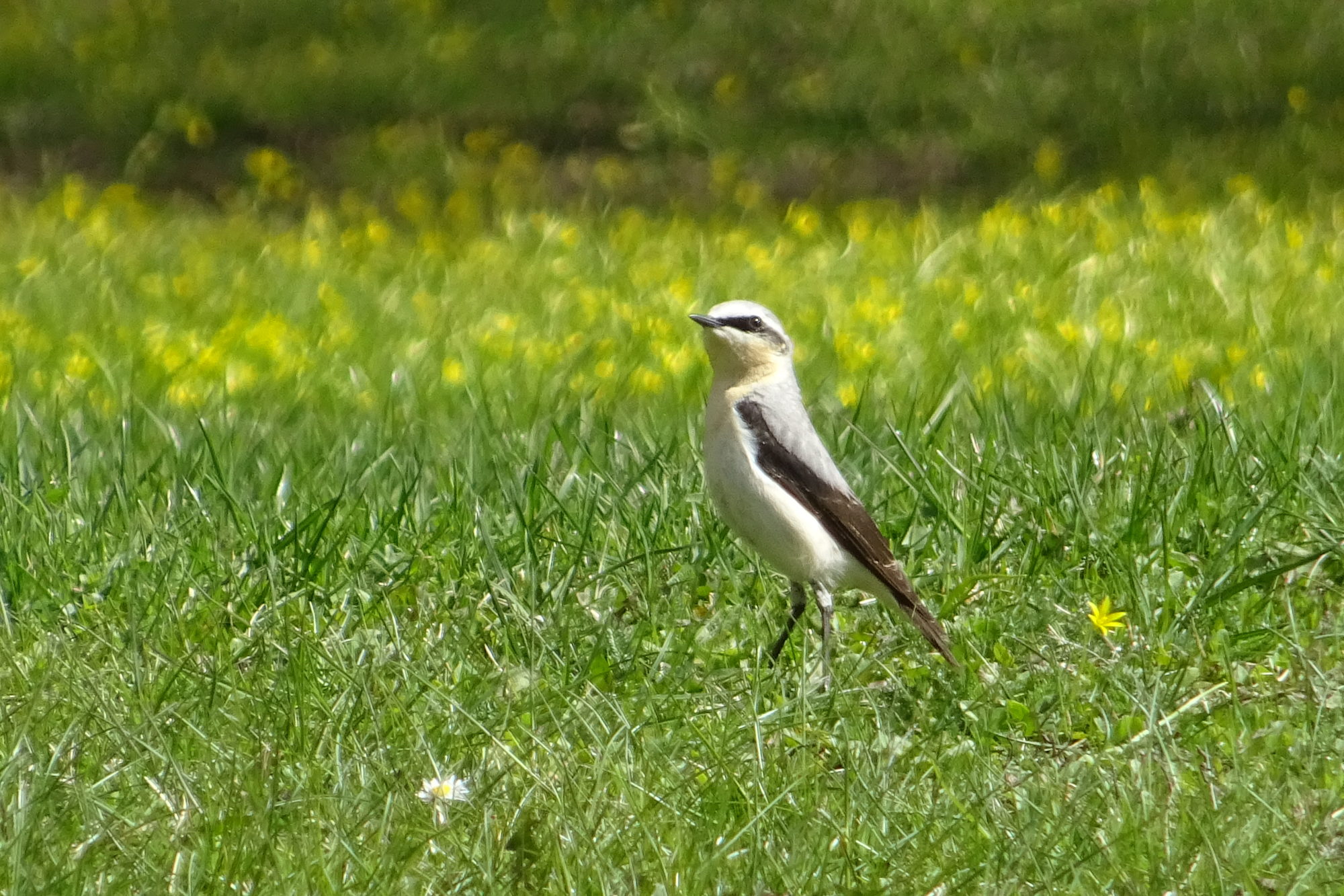 Valokuvaaja: Liisa Niiva-Korpela