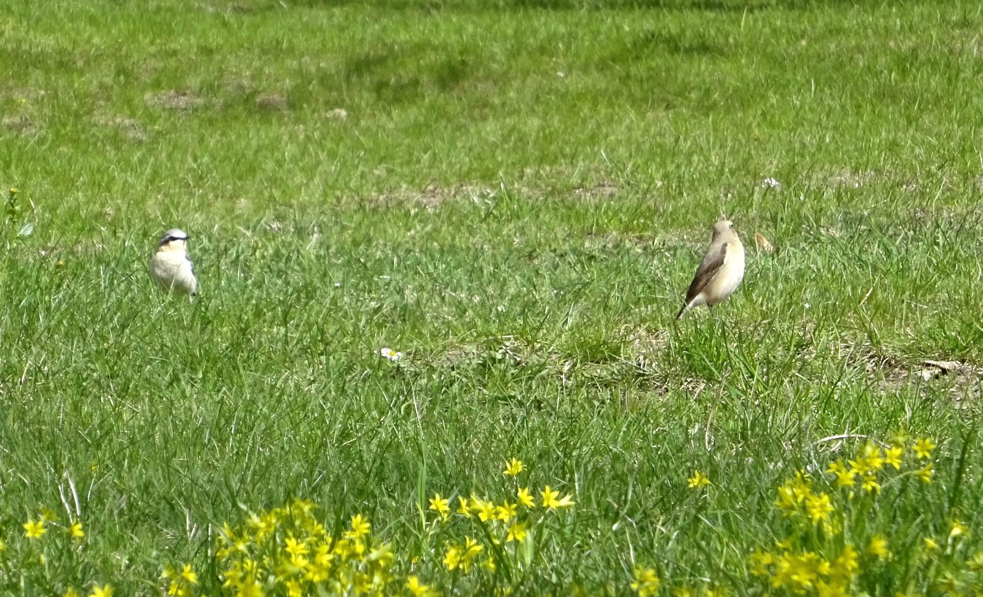 Valokuvaaja: Liisa Niiva-Korpela