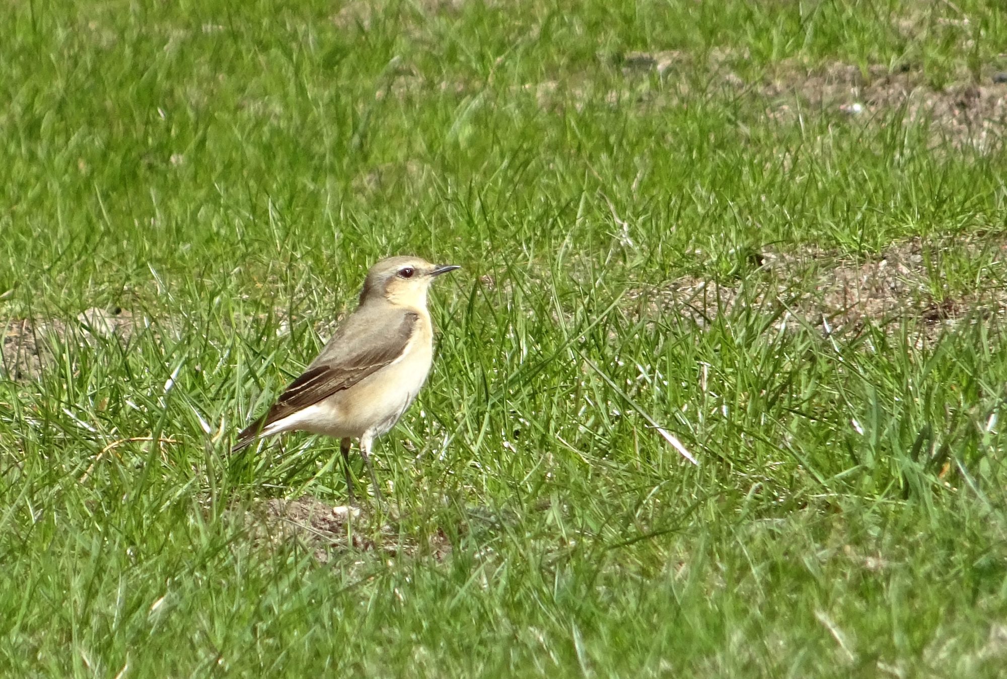 Valokuvaaja: Liisa Niiva-Korpela