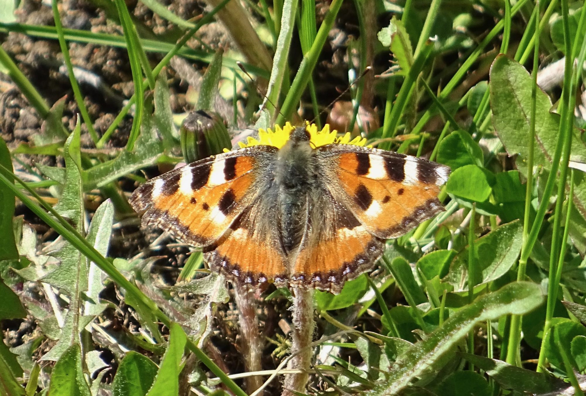 Valokuvaaja: Liisa Niiva-Korpela