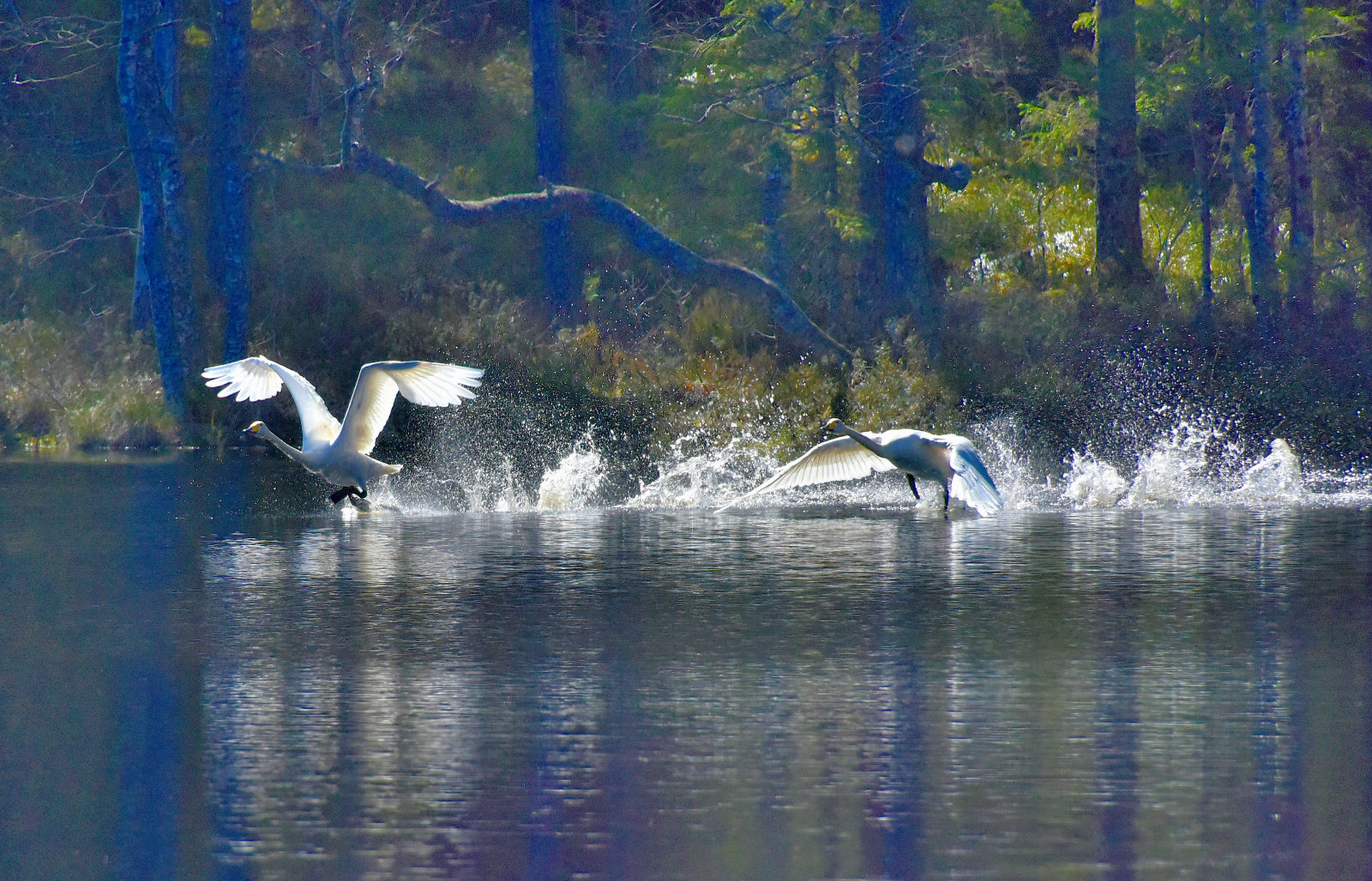 Valokuvaaja: Reijo Juurinen