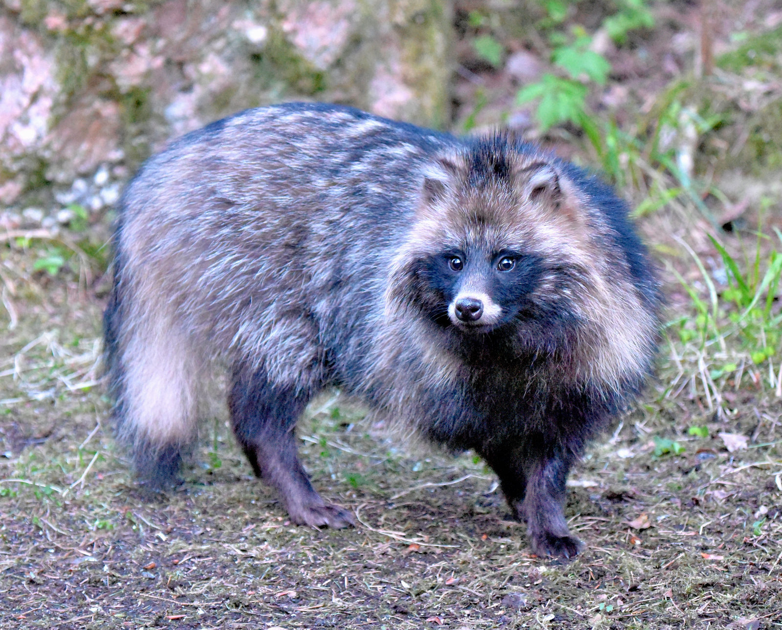 Valokuvaaja: Reijo Juurinen