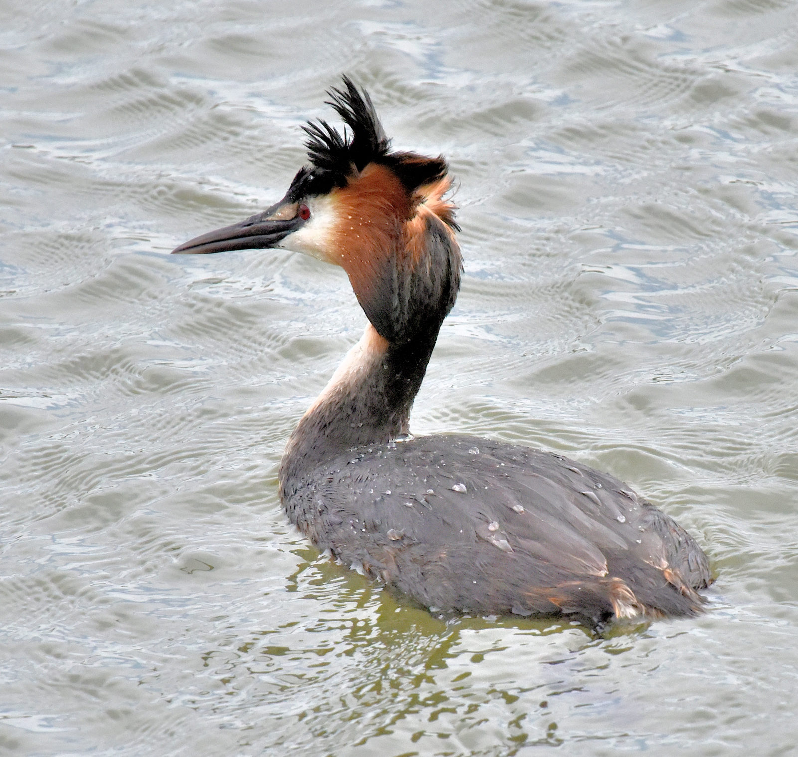 Valokuvaaja: Reijo Juurinen